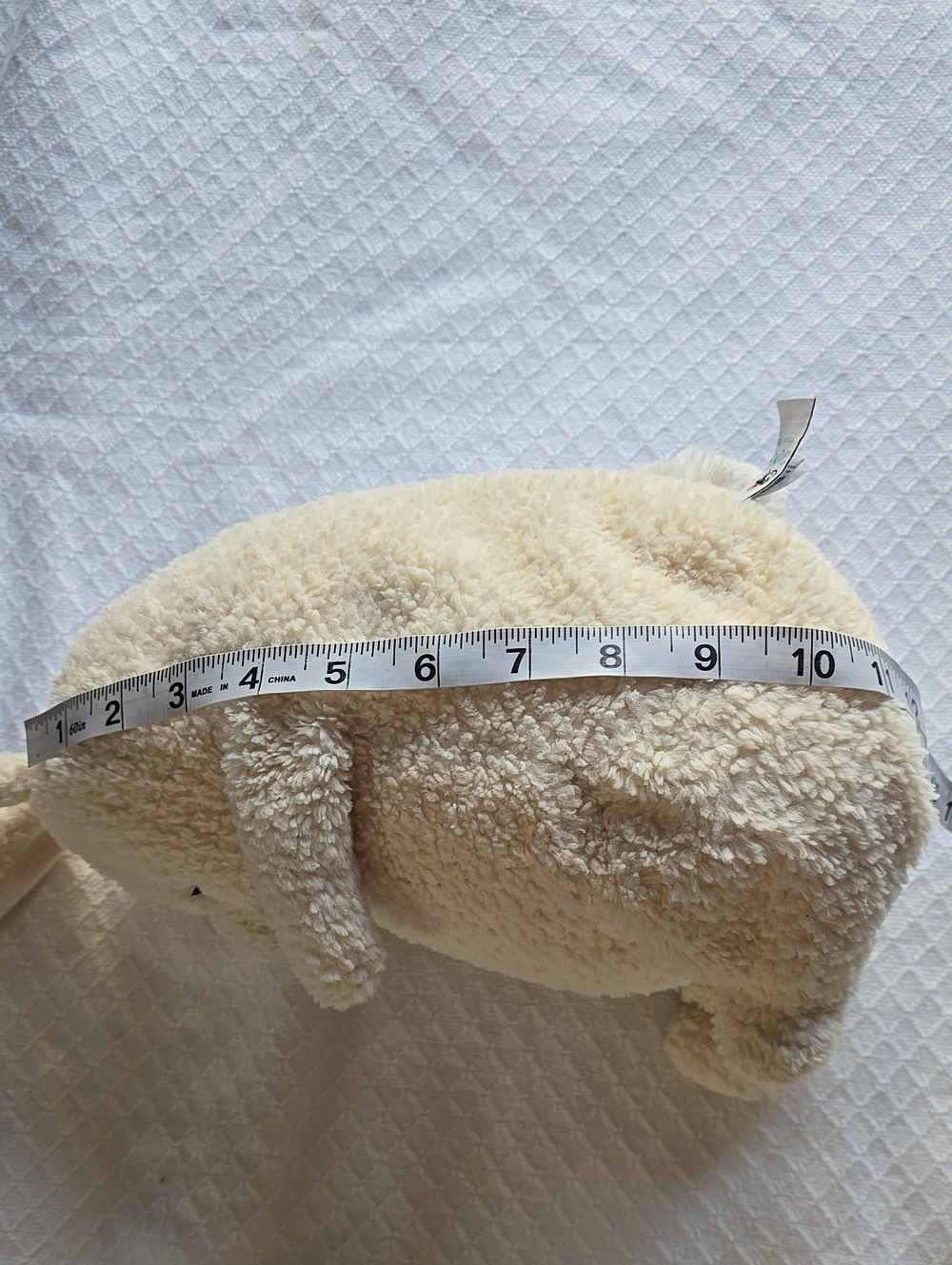 🐇Jellycat Amore Bunny Cream AM2B 10” Plush Rabbit - Picture 10 of 14